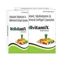WELLVITAMIX